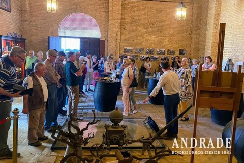 Huelva: Guided Tour to the Andrade Winery with Tastings