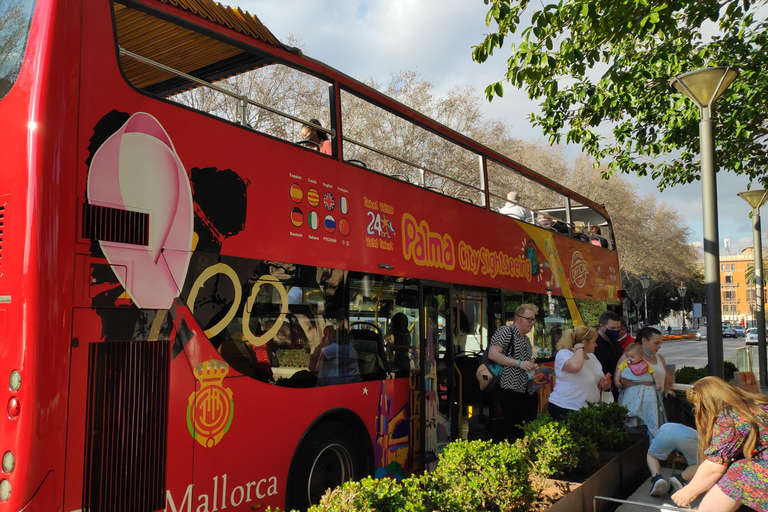 Drach Caves and Palma or Beach Retreat – Full-Day Tour