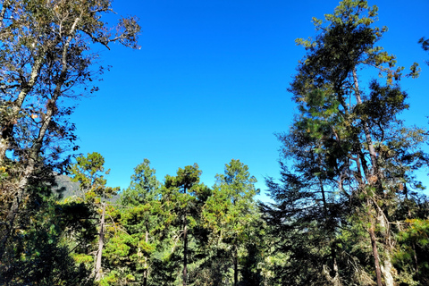Oaxaca: Sierra Norte Ixtepeji Guided Hike & Lunch, Half-Day