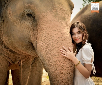 Elephant Jungle Sanctuary Feeding Experience