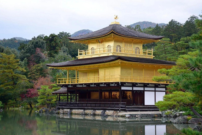 Kyoto & Nara Private Tour with English Speaking Guide