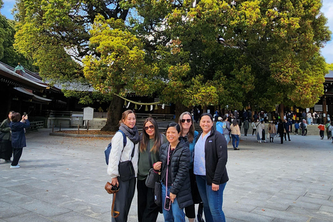 Tour privado de un día por los lugares famosos de TokioVisita Privada de un Día a los Lugares Famosos de Tokio