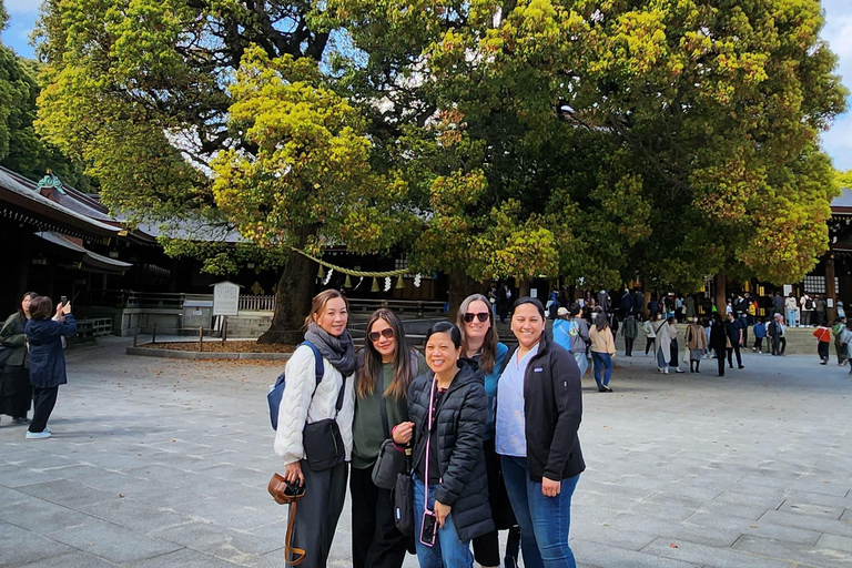 Tour privato di un giorno dei luoghi più famosi di TokyoTour privato di un giorno dei luoghi famosi di Tokyo