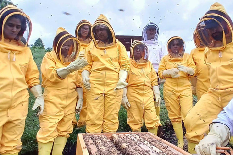 From Medellín: Honey Tour, Visit the Bees