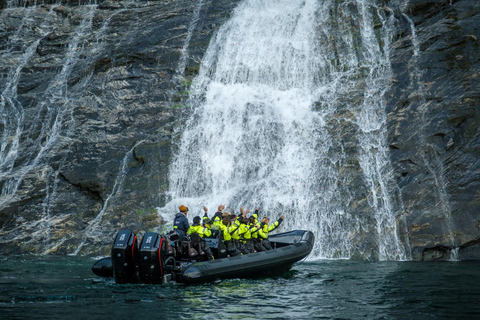 From Hellesylt: Experience Fjordsafari Geirangerfjord on RIB