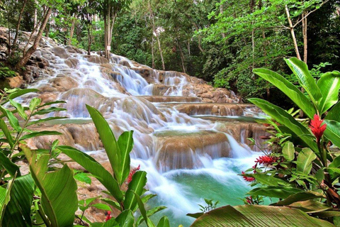 Montego Bay : Chutes de la rivière Dunn et aventure équestreChutes de la rivière Dunn et aventure équestre