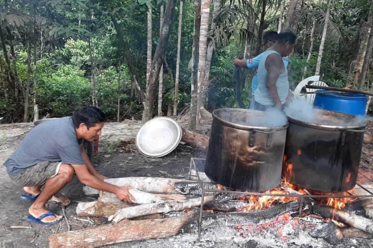 Cérémonie d'ayahuasca de 6 heures