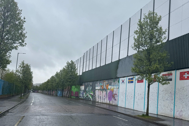 Belfast: Historical & Political Tour with Hotel Pickup