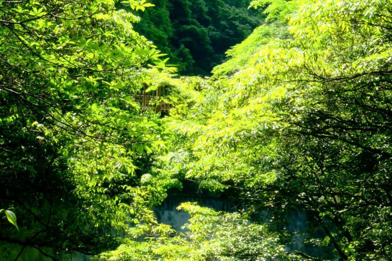 Zhangjiajie Glass Bridge, Huanglong Cave Shared/Private Tour Private tour