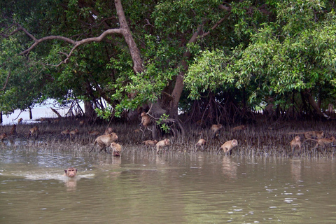 Samut Songkhram & Hua Hin Day Trip with Boat Ride