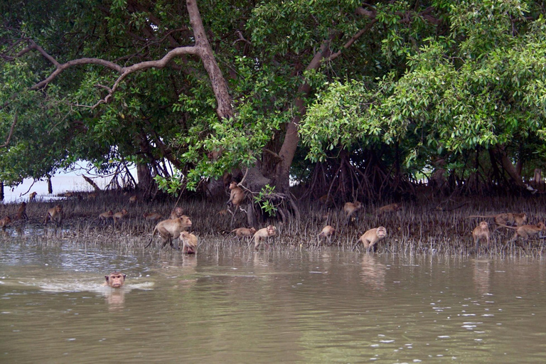 Samut Songkhram & Hua Hin Day Trip with Boat Ride