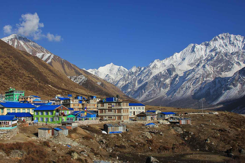 Da Kathmandu: Trekking della Valle del Langtang con escursione a Tserko Ri