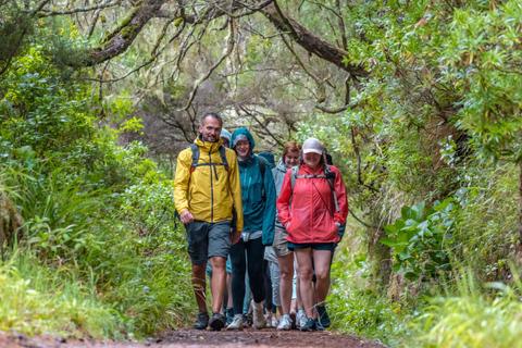 Madeira: Fontane di Rabaçal 25 Passeggiata di Levada e Cabo GirãoRabaçal: passerella e sentiero Levada das 25 Fontes