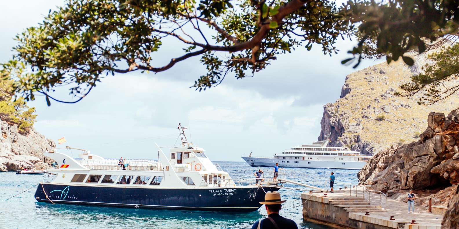 section