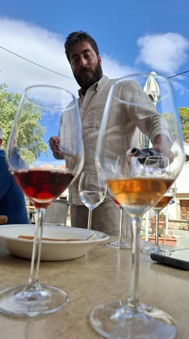 Fres Village: Private Tasting of 6 Cretan Wines