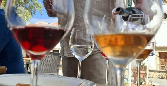 Private tasting of 6 cretan wines in Fres village