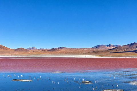 Uyuni: 3-Day Salt Flats Expedition to San Pedro de Atacama Uyuni Tour with Local Spanish Driver