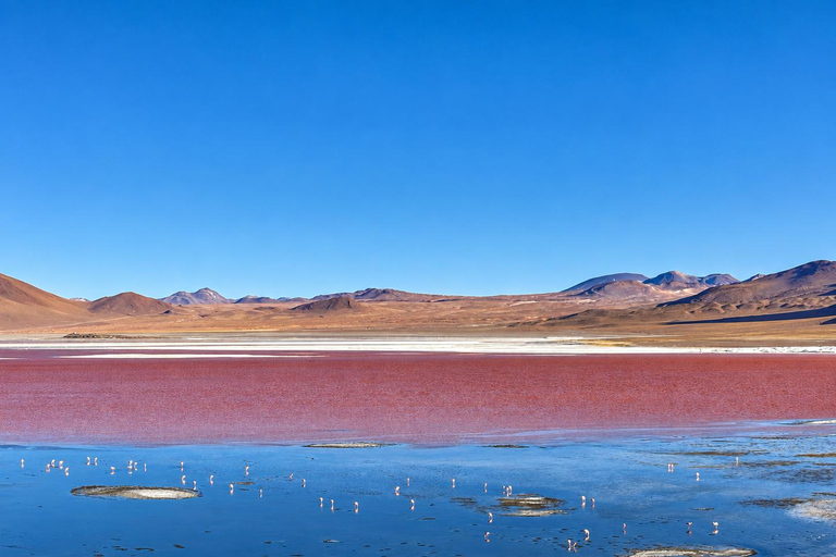 Uyuni: 3-Day Salt Flats Expedition to San Pedro de Atacama Uyuni Tour with Local Spanish Driver