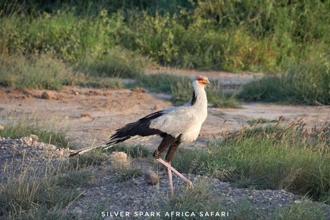 Nairobi: Safari di 4 giorni nel Maasai Mara e al Lago NaivashaNairobi: safari di 4 giorni nel Maasai Mara e al lago Naivasha