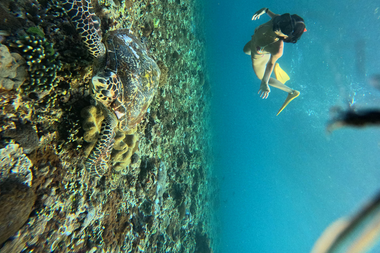 From Bali: Private Boat Nusa Penida 3-Spots Manta Snorkeling Start from Bali with Meeting Point at Sanur Port