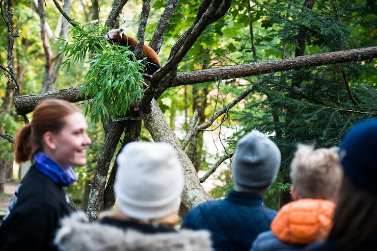 诺登方舟入场券Hunnebostrand：诺登方舟门票