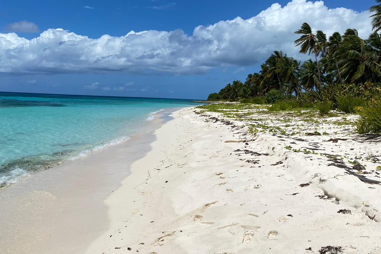 Saona Island VIP: 4 Beaches , Mano Juan & Canto de la Playa 4 Beaches VIP Saona Island: Mano Juan & Canto de la Playa