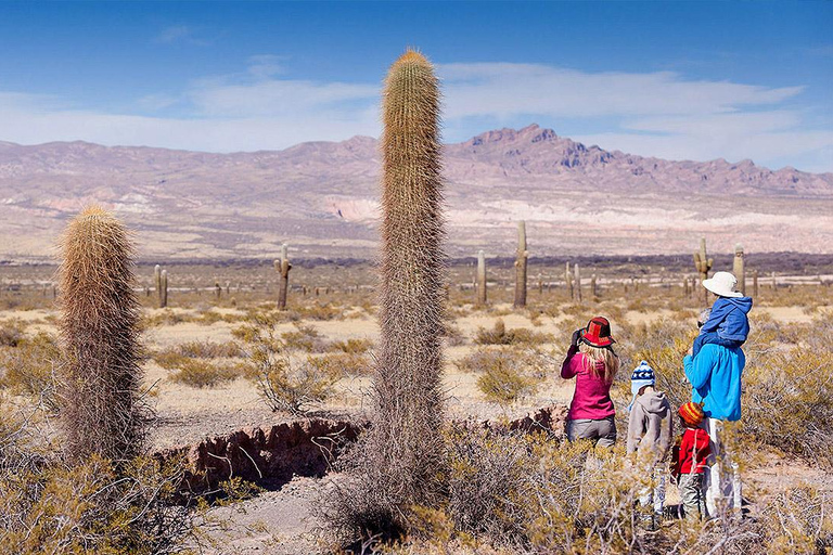 Cachi and Salinas Grandes: 2-Day Tour of Hills and Incredible Landscapes Cachi and Salinas Grandes: 2-day tour from Salta