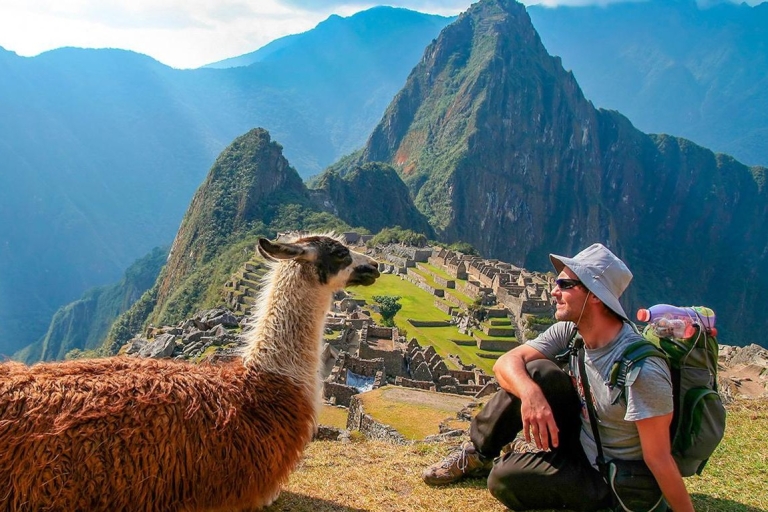 Machu Picchu: 1-dniowa wycieczka pociągiem Vistadome Observatory