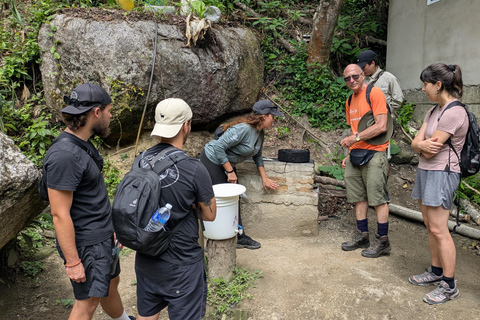 Coffee and Cacao Experience in Minca