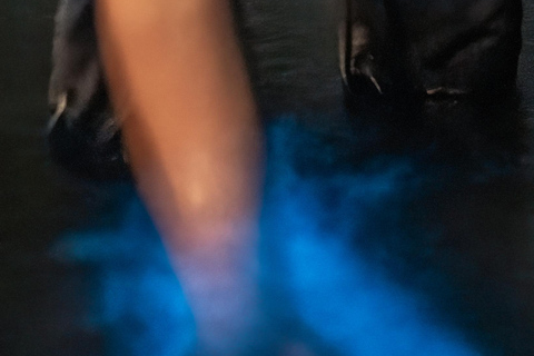 Fort Flagler, WA: Bioluminescence Kayak Tour