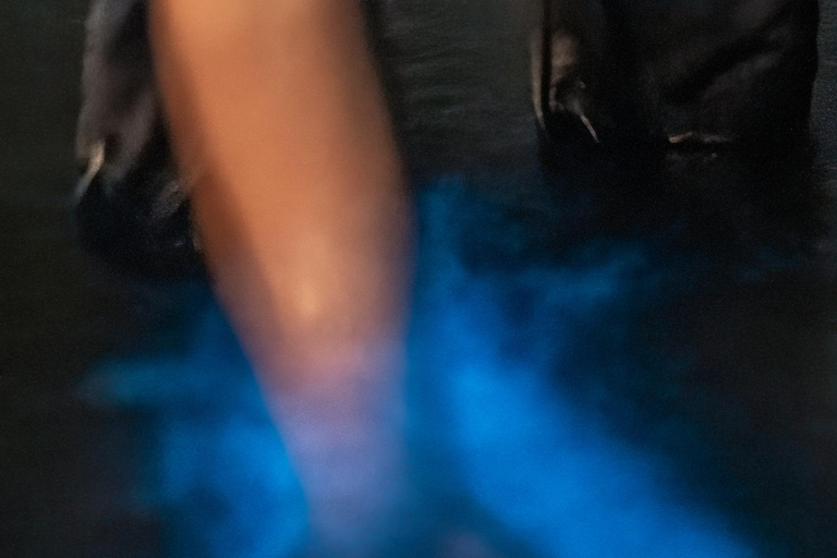 Fort Flagler, WA: Bioluminescence Kayak Tour