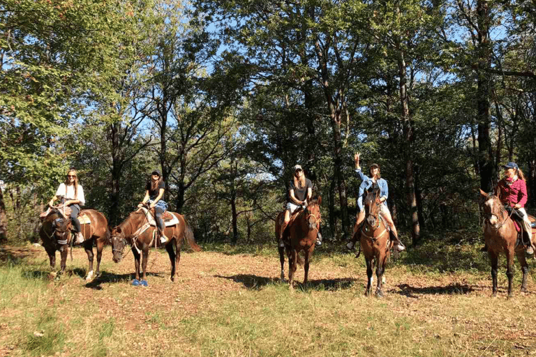 Side: Horse Riding Experience with Pony Option