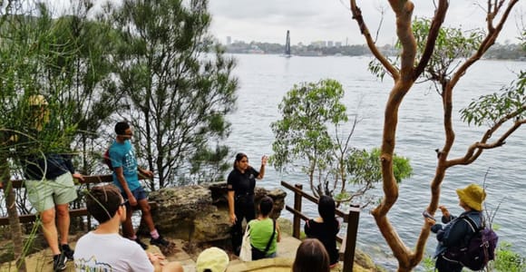 Sydney: Berry Island Aboriginal Culture Tour & Bushwalk