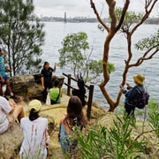 Sydney: Berry Island Aboriginal Culture Tour & Bushwalk