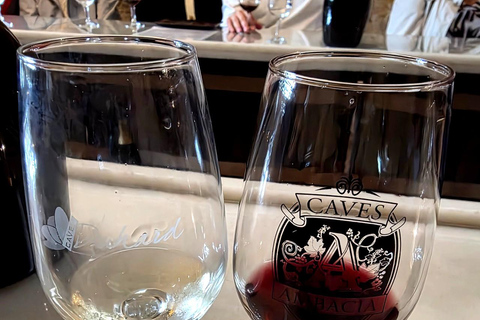 Loire Valley Wine Tour from Paris: 2 Wineries & 10 Tastings Premium Option