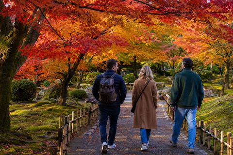 Kanazawa: Kenrokuen Autumn Colors & Castle Walk Early Bird 20% Off – Limited Autumn Offer