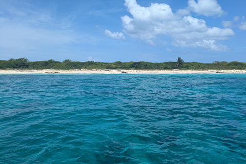 Au départ de Saint-Domingue : excursion d&#039;une journée à l&#039;île CatalinaDepuis Saint-Domingue : excursion d&#039;une journée sur l&#039;île Catalina