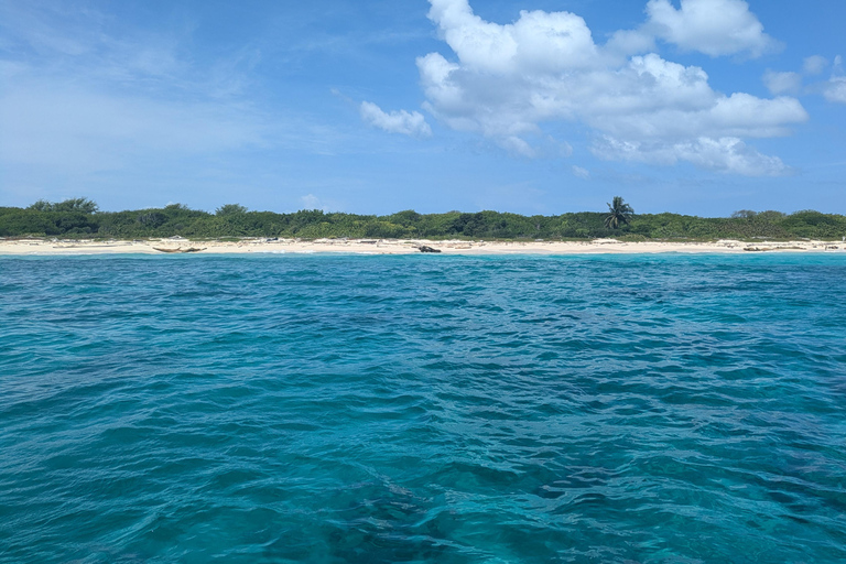 Au départ de Saint-Domingue : excursion d&#039;une journée à l&#039;île CatalinaDepuis Saint-Domingue : excursion d&#039;une journée sur l&#039;île Catalina