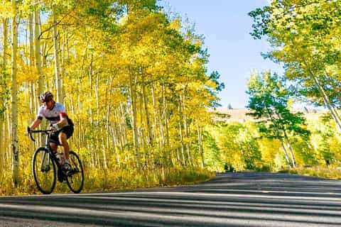 The BEST Michigan Nature adventure 2025 FREE Cancellation