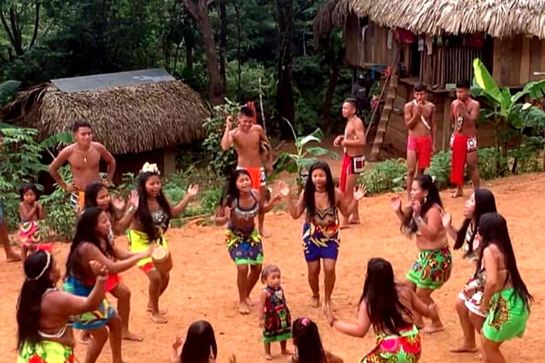 Panama Stad: Bezoek onze Emberá inheemse cultuur, jungle en watervallen