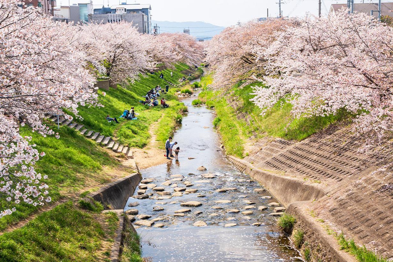 Da Osaka: Nara, esperienza Uji Matcha e tour delle sorgenti termali