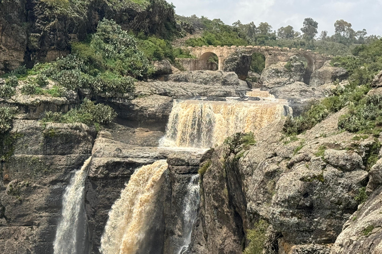 From Addis: Blue Nile Gorge, Baboons & Waterfalls
