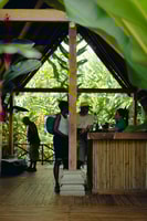 Kayak Expedition, Monkey Mangrove Safari - Housity