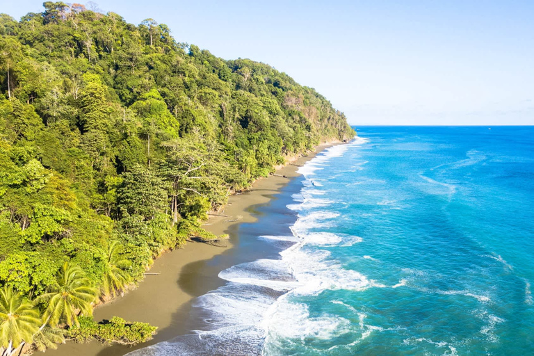 Parc national du Corcovado : Randonnée guidée - Journée entière