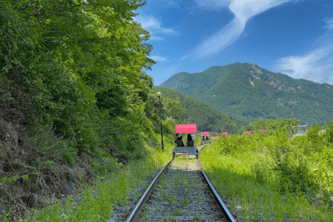 Von Seoul aus: Alpakafarm mit Bahnrad/RodelrennenRailbike-Gruppentour, Treffen in Dongdaemun (DDP)