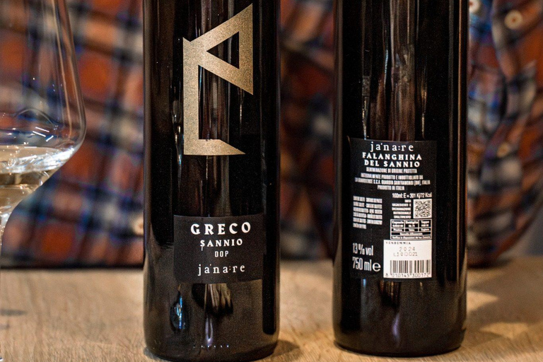 Wine Tasting in Naples with gastronomic experience and food