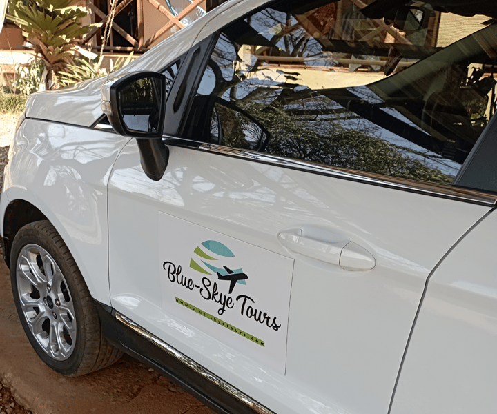 Elephant Tours : Kruger National Park