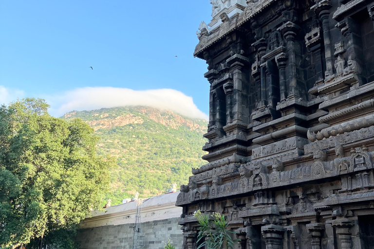 Bengaluru: 3 Hour New and Old City Guided Walking Tour