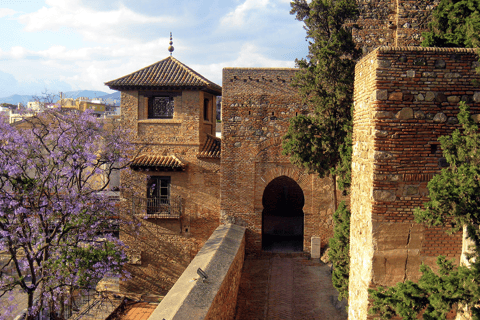 Malaga: Alcazaba Entry Ticket