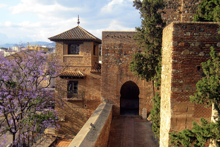 Malaga: Alcazaba Entry Ticket